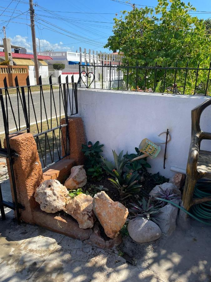 Zipcode Hideaway Guesthouse 波特莫尔 外观 照片