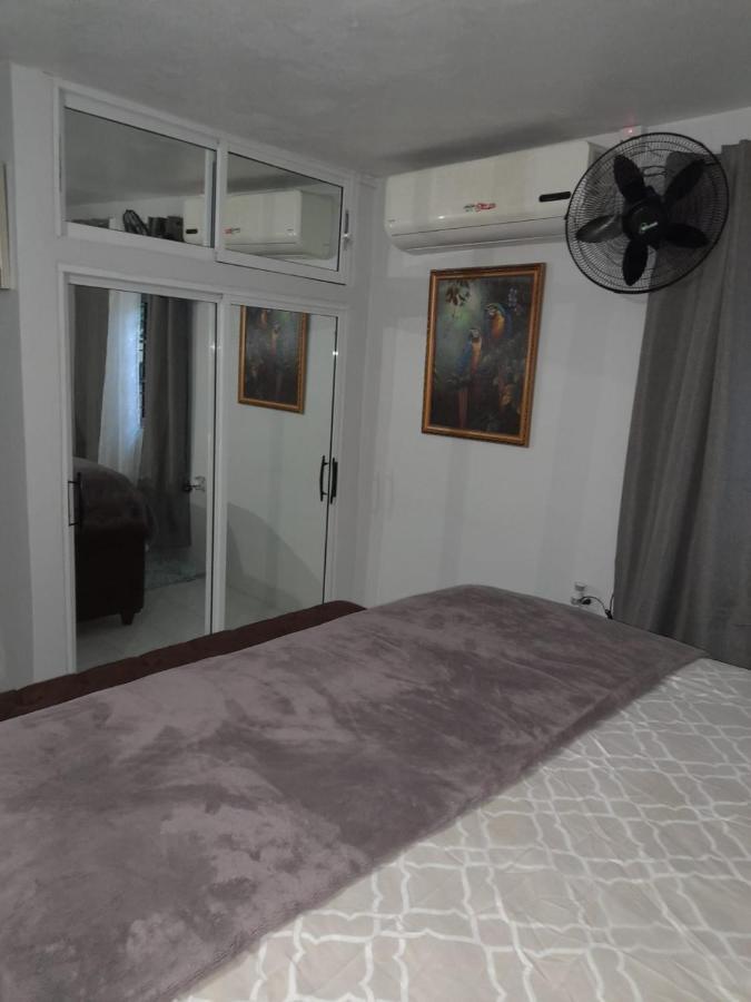 Zipcode Hideaway Guesthouse 波特莫尔 外观 照片