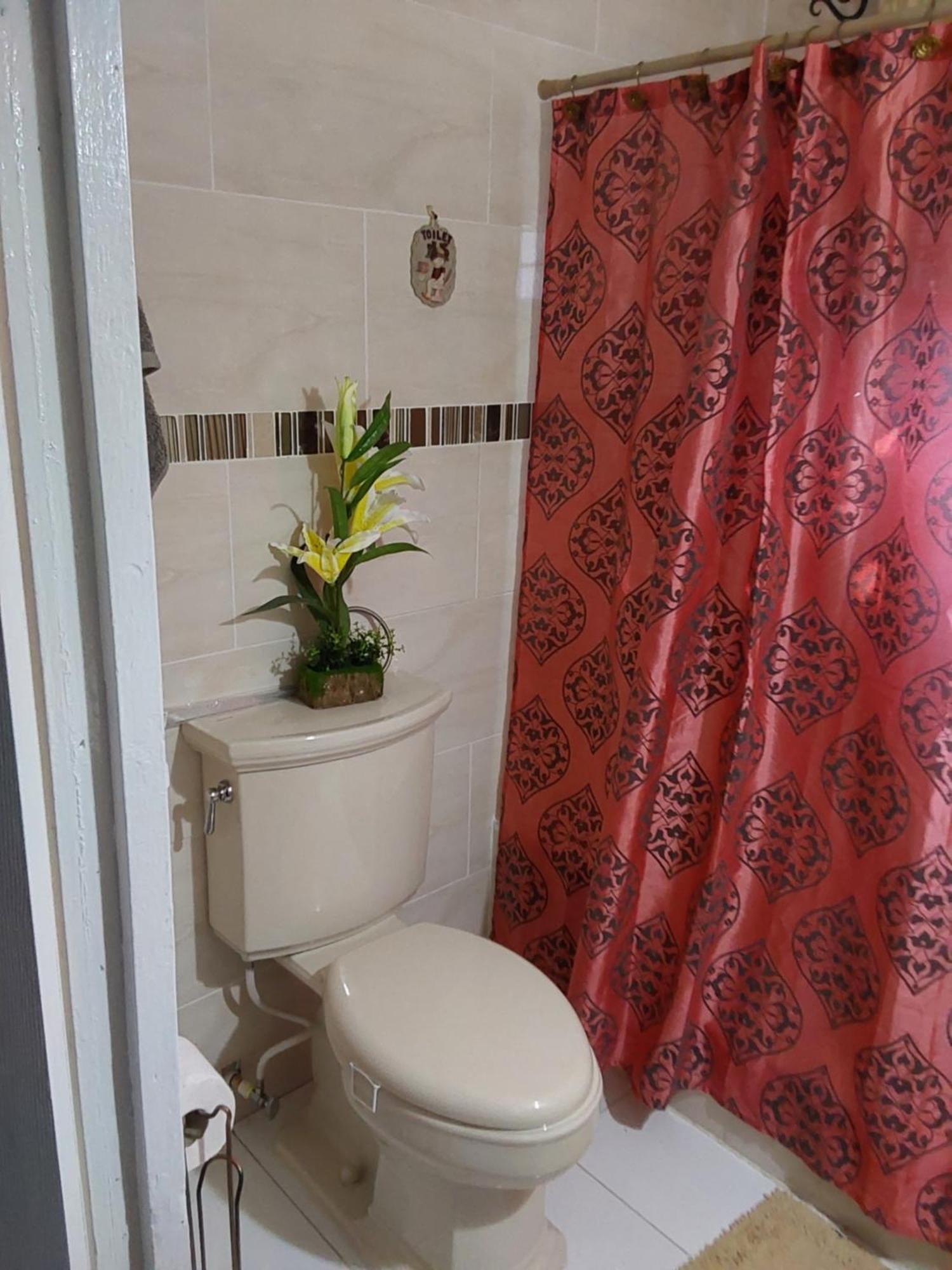 Zipcode Hideaway Guesthouse 波特莫尔 外观 照片